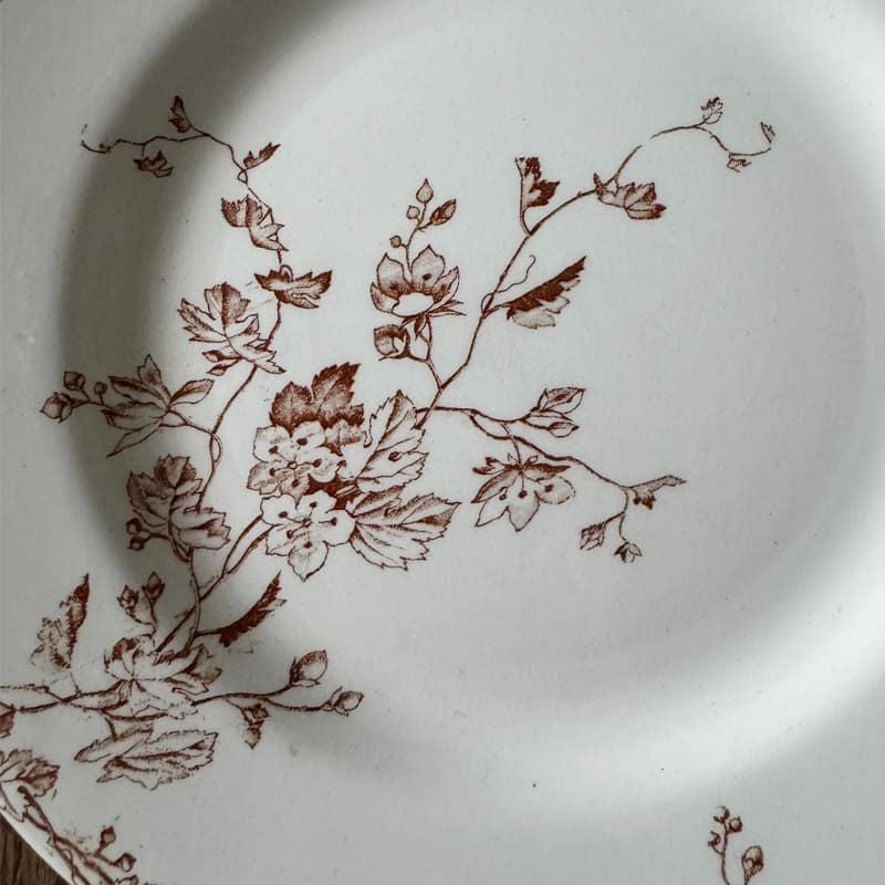 リュネヴィル PRINTEMPS_A Φ24cm