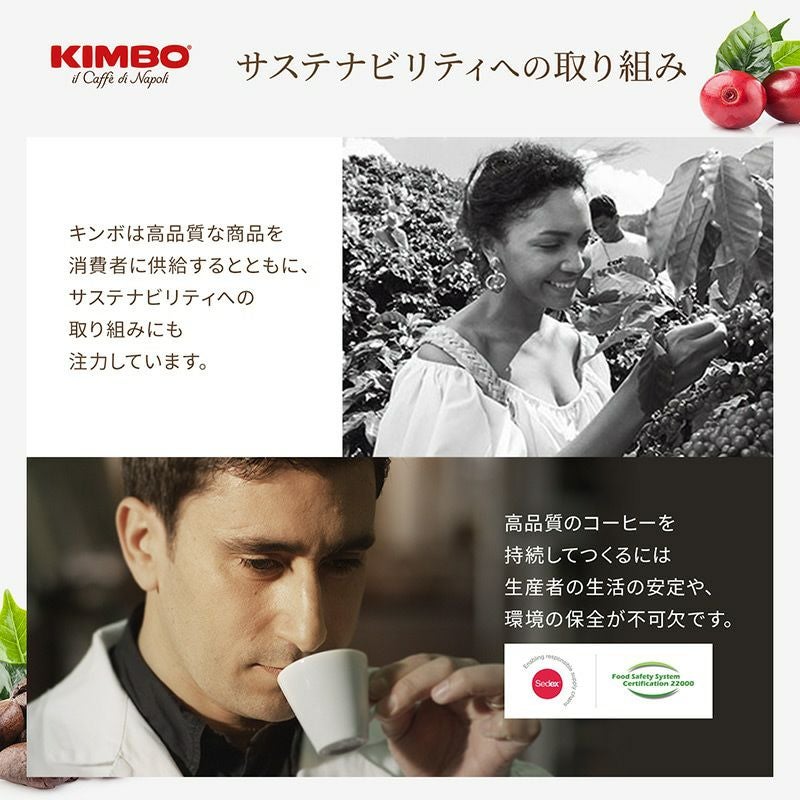 KIMBO エスプレッソ粉 ゴールドブレンド 250g