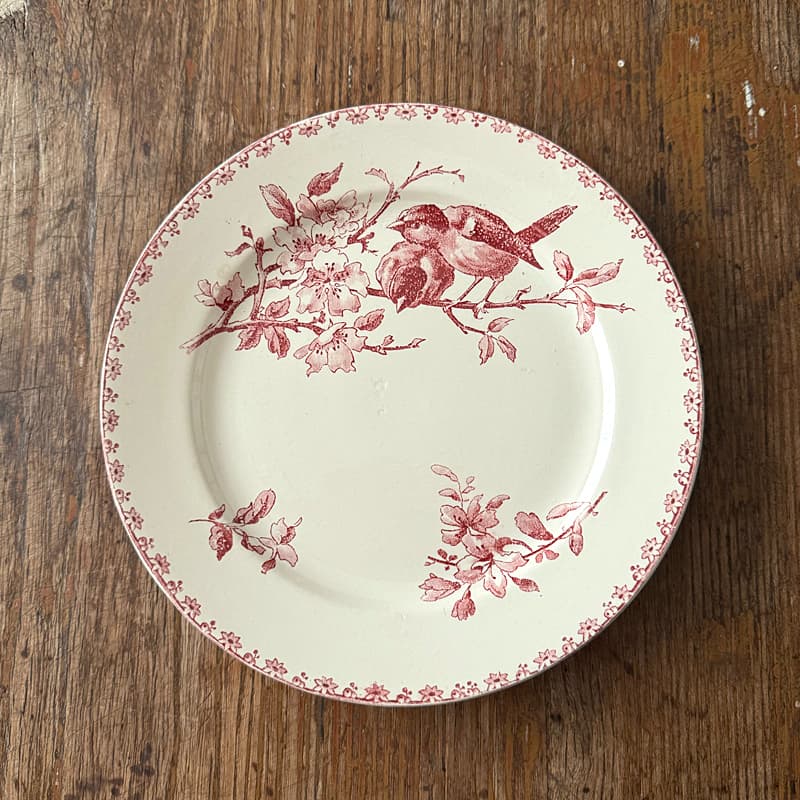 サルグミンヌ Favori 平皿