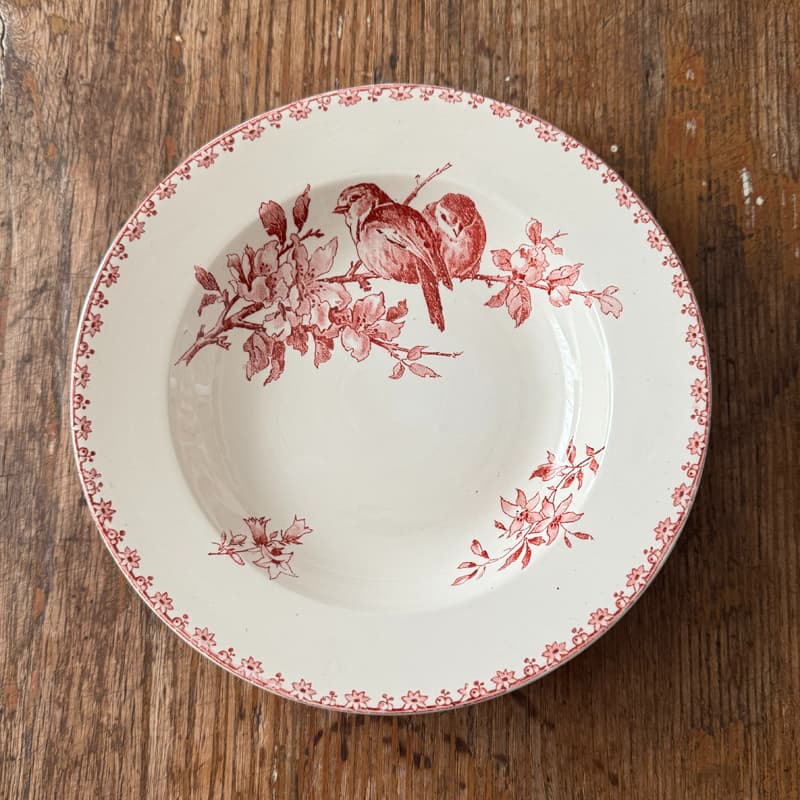 サルグミンヌ Favori 深皿