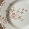 リュネヴィル PRINTEMPS 平皿B Φ24cm