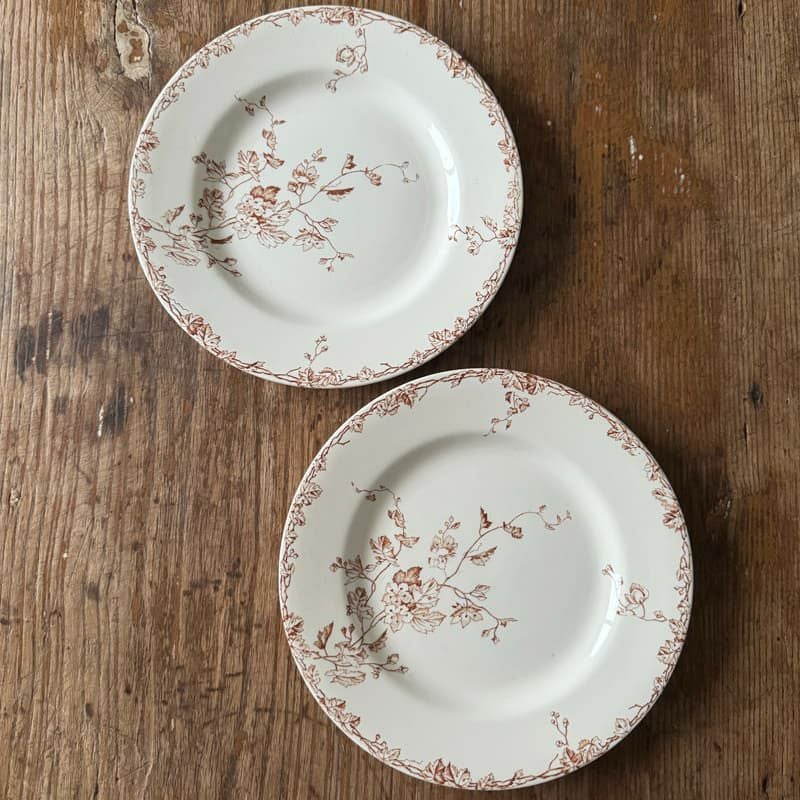 リュネヴィル PRINTEMPS 平皿B Φ24cm